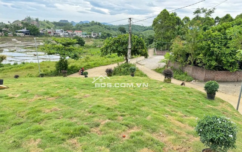 CẦN BÁN LÔ ĐẤT NGHỈ DƯỠNG 1961M VIEW CÁNH ĐỒNG GIÁ ĐẦU TƯ